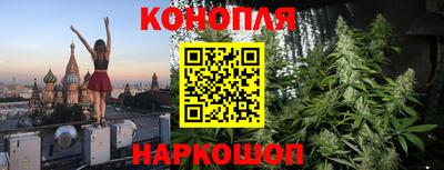 не бодяженный Камышлов