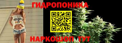 не бодяженный Кандалакша