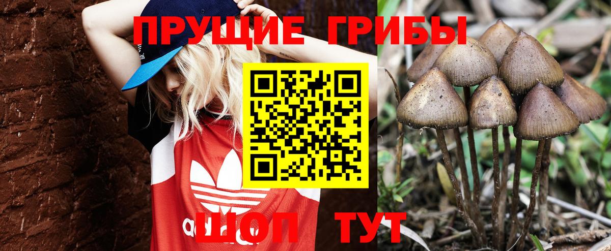 Галлюциногенные грибы ЛСД  Вход с VPN  Галлюциногенные грибы Psilocybe  Кропоткин 